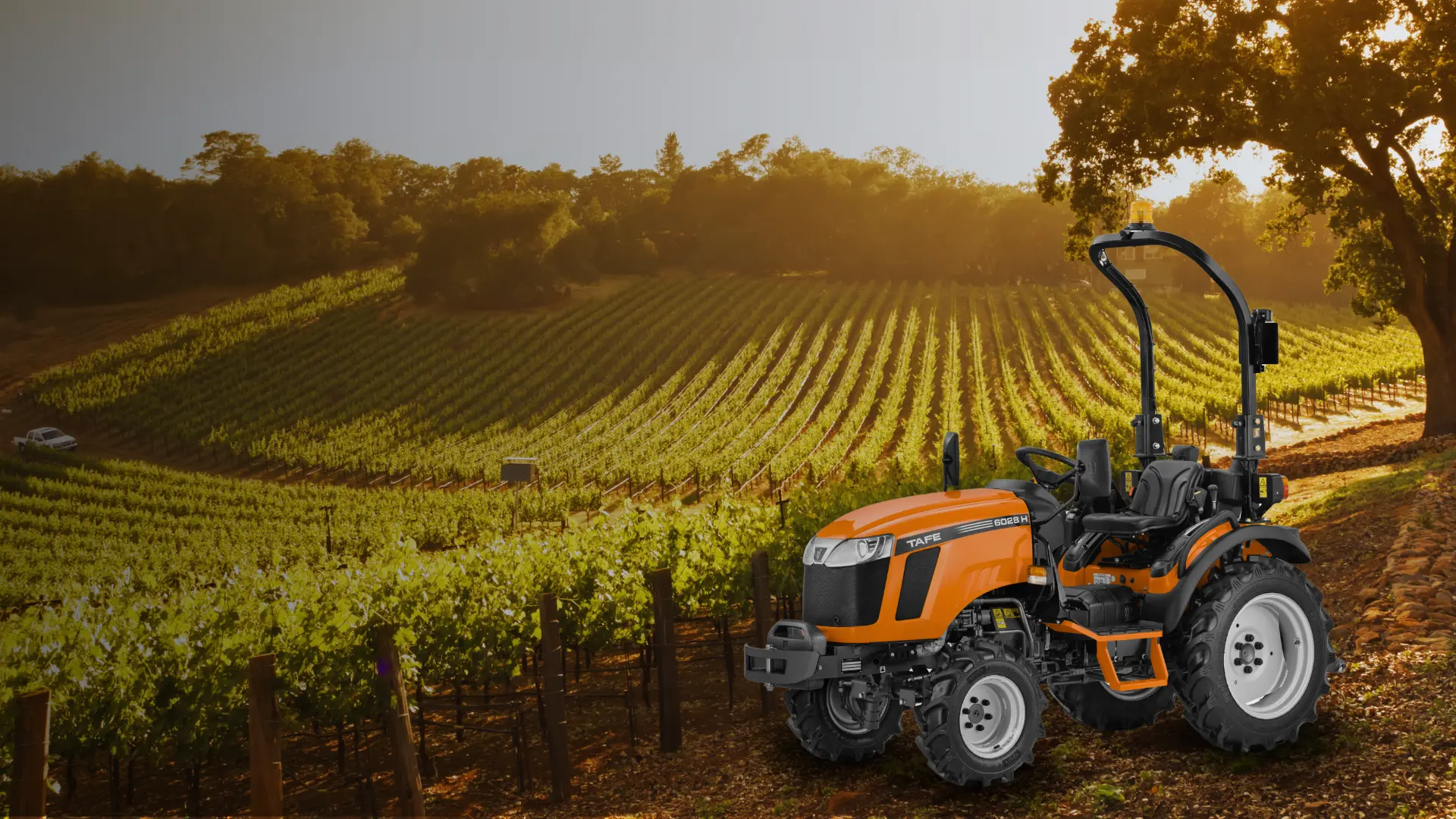 BOLOGNA_ITALY_10_0ca155d45e(1)