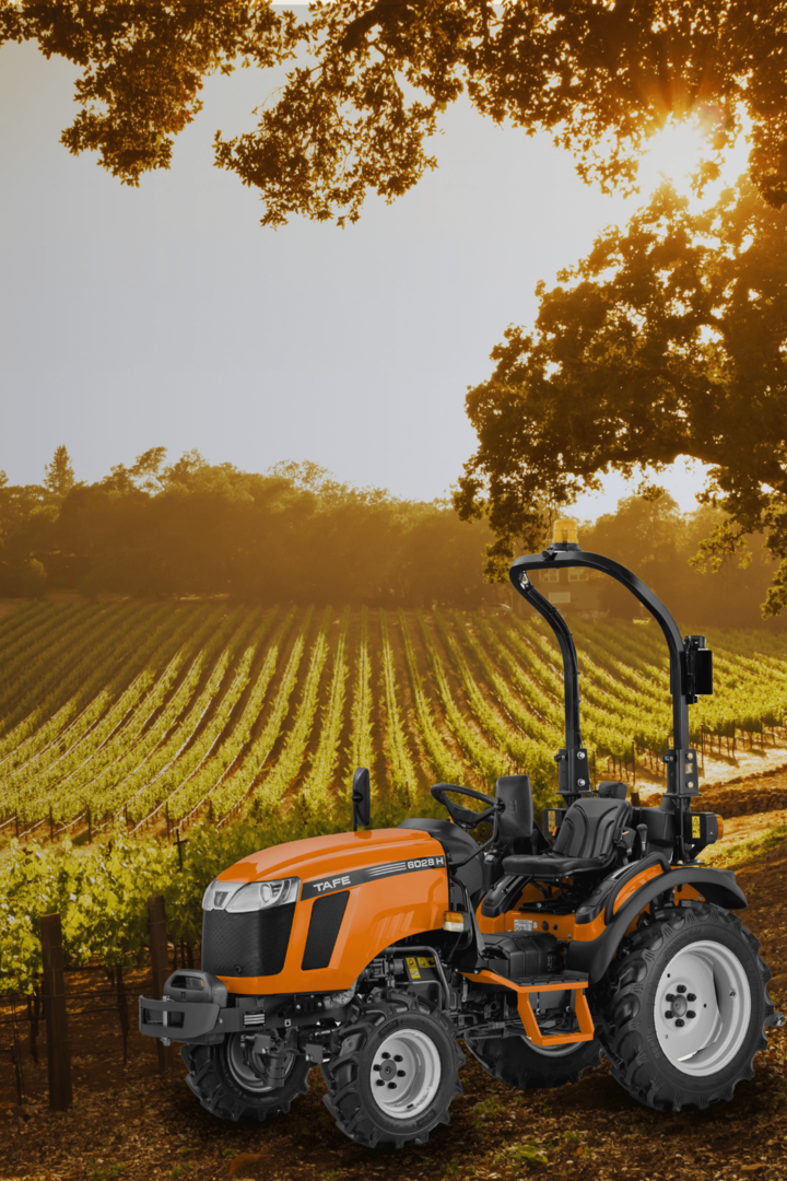 HELLO_MEXICO_4c5b6e9898