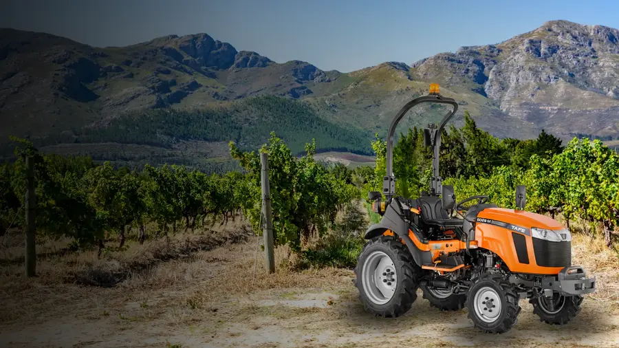 Untitled_design_2024_09_04_T150952_936_e2d47f4952 (1)